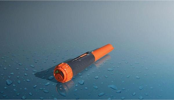 Nokta Nokta Pointer - Image 1
