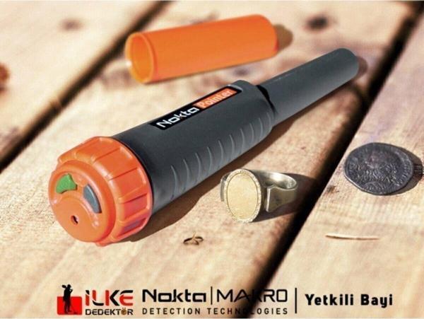 Nokta Nokta Pointer - Image 1