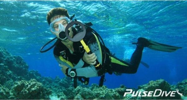 Nokta Pulse Dive Scuba Dedektörü Pointer - Image 1