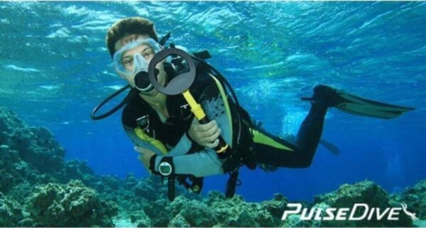 Nokta Pulsedive Scuba Ikili Pointer Set Su Altı Ve Kara El Dedektörü Resmi Bayi Mega Dedektör - Image 1