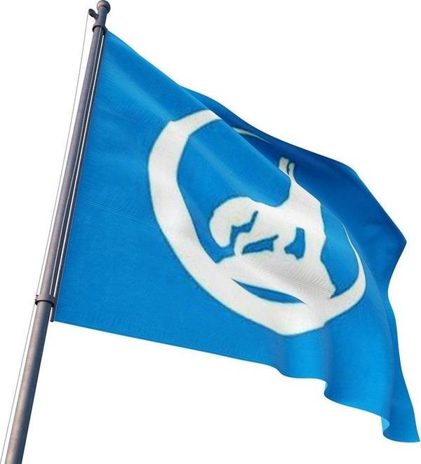 Bozkurt Bayrağı (100x150) - Image 1