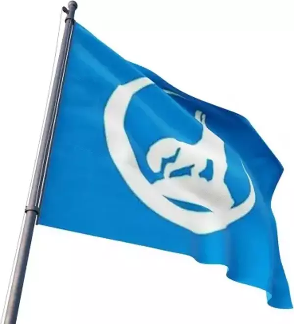 Bozkurt Bayrağı (100x150) Gönder Bayrağı  - Image 1