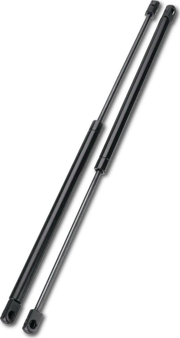 Wöbermann Bmw E39 Bagaj Amortisörü Takım Sağ-Sol 1195-2003 - Image 1