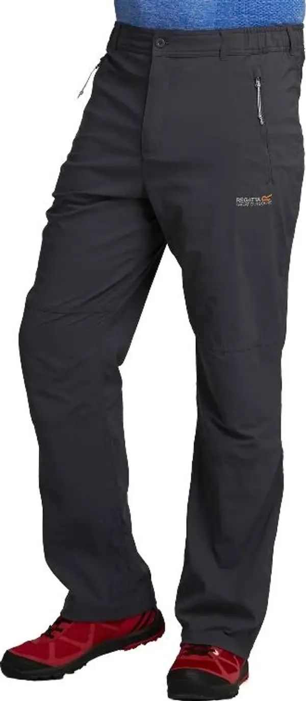Regatta Fellwalk Str Trs Trekking Erkek Pantolon-GRİ - Image 1