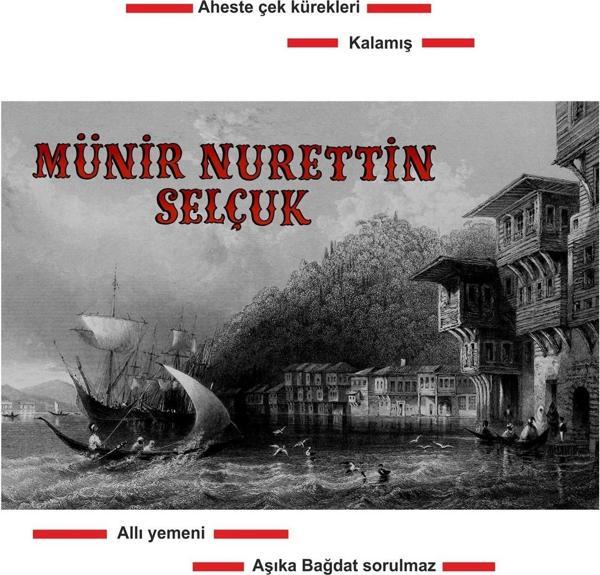 Münir Nurettin Selçuk  (Plak)   - Image 1