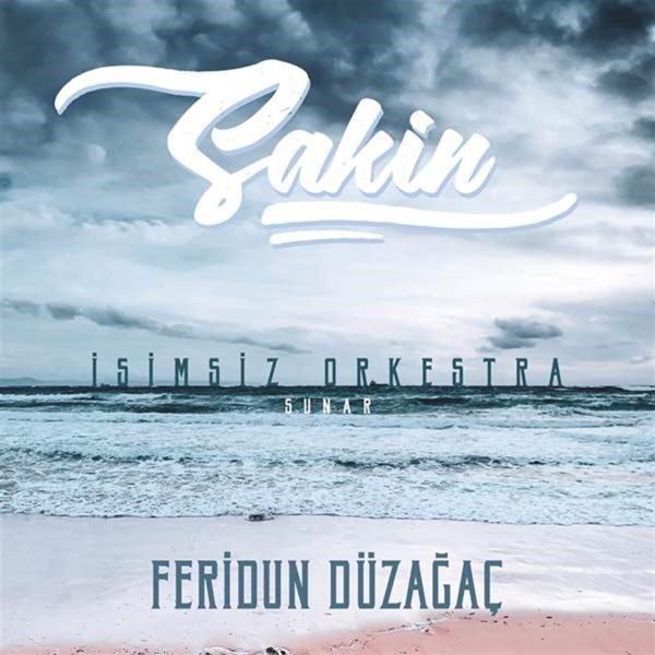 Feridun Düzağaç - Sakin  (Plak)   - Image 1
