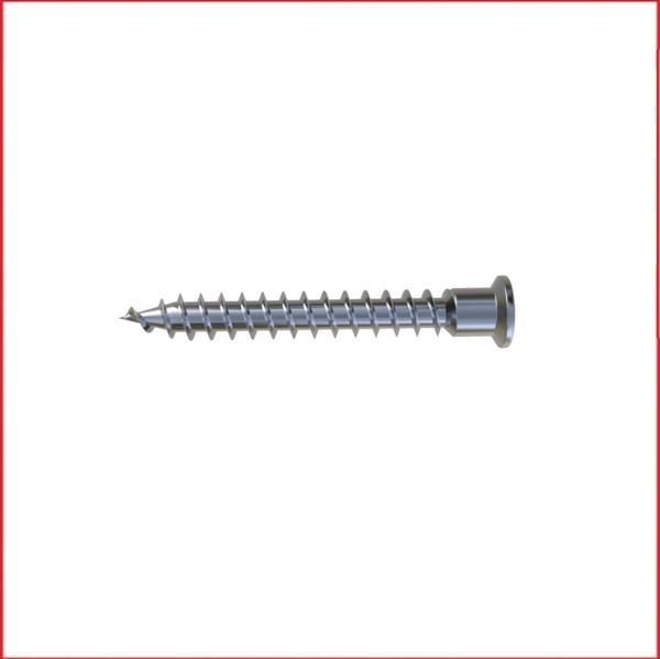 Metal Galvaniz Kabin vidası (yıldız başlı sivri) 06,3x50mm 100 Adet Kargo bedava - Image 1