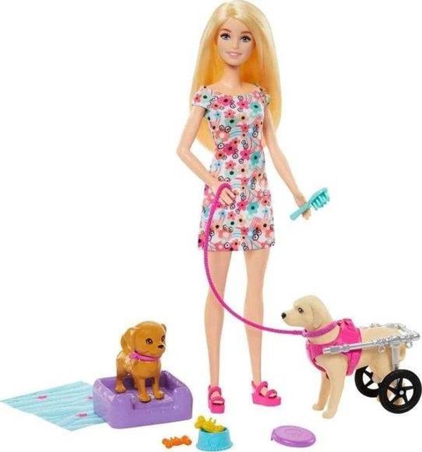 Barbie ve Engelli Köpeği Oyun Seti HTK37 - Image 1