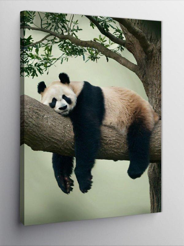 Kanvas Tablo Ağaçtaki Panda - Image 1