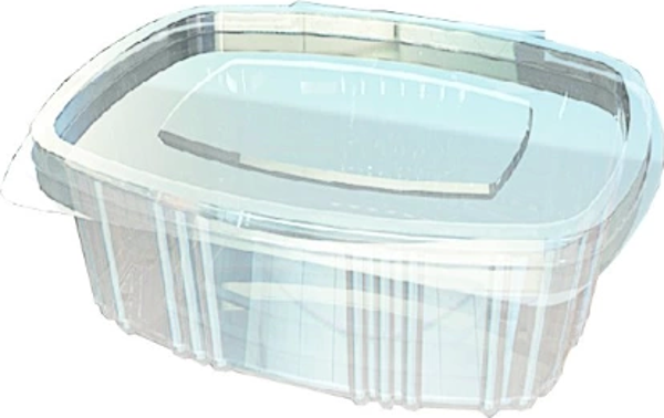 250 cc Oval Düz Kapak Sızdırmaz Kap - V62 ( 100 Adet ) - Image 1