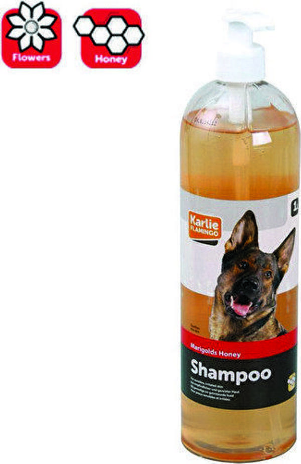 Karlıe Aynısafa Çiçeği Ballı Köpek Şamp. 300ml - Image 1