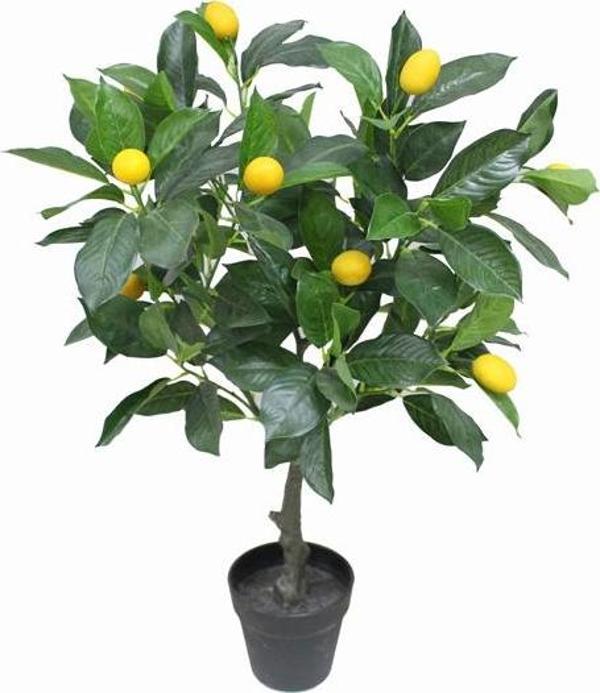 Yapay Sarı Limon Ağacı 70cm Boy Büyük Meyveli Gerçek Görünümlü Limon Ağacı SAKSISIZ - Image 1
