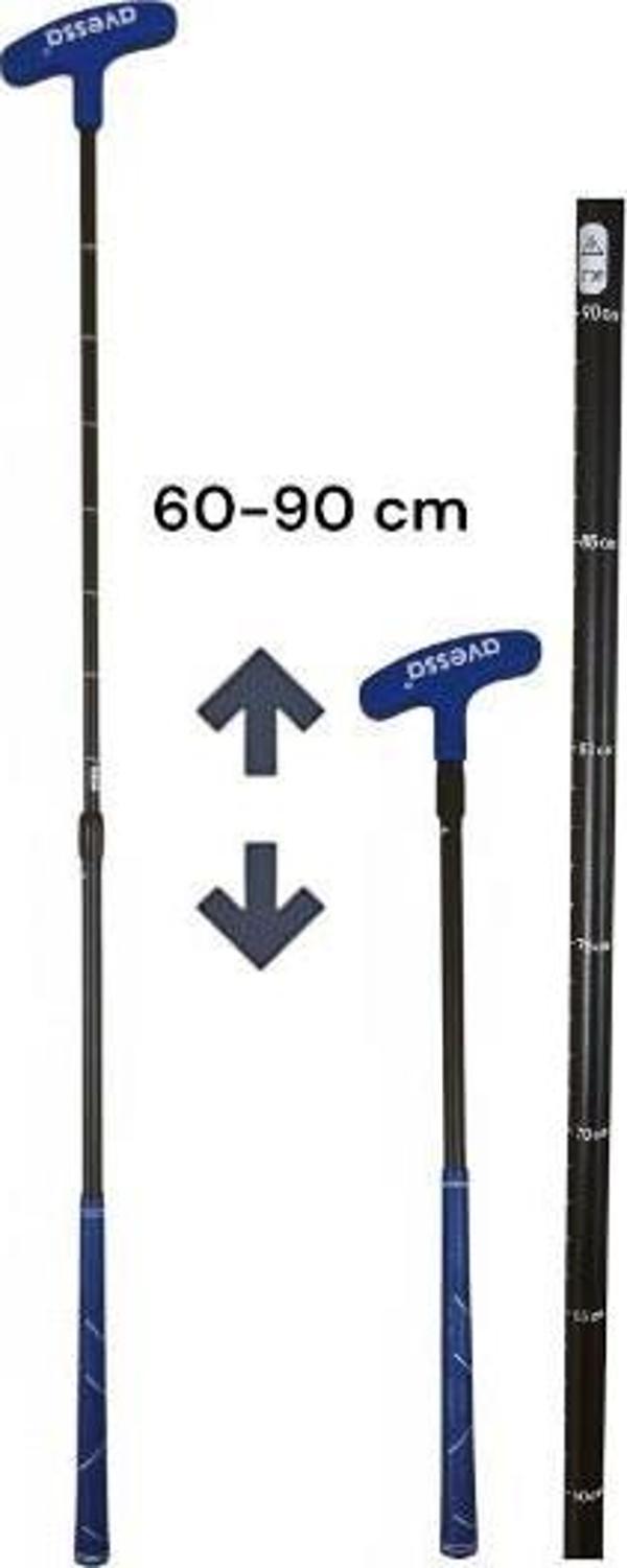 Avessa Gb-190 Ayarlanabilir Golf Sopası Mavi - Image 1