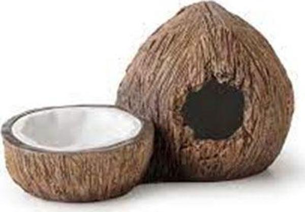 Exo Terra Ex Coconut Sürüngen Saklanma Alanı ve Su Kabı - Image 1