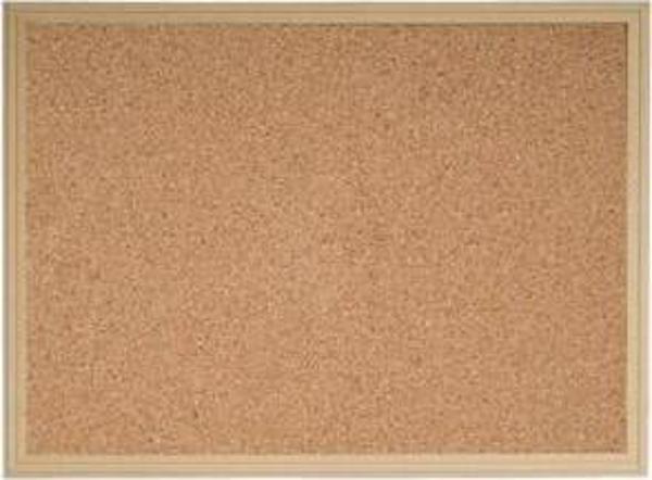 Inter Mantar Pano Eko Çerçeveli 50X70Cm INT-511-3 - İnter Yayınevi - Image 1