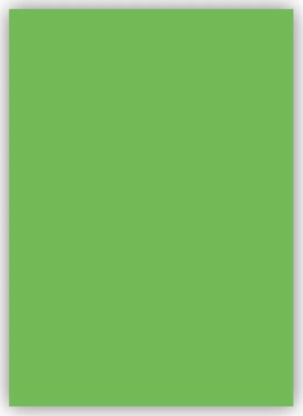 Bigpoint Fon Kartonu 50x70cm 120 Gram Açık Yeşil - Image 1