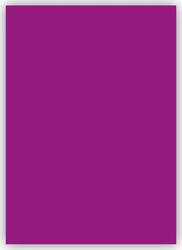 Bigpoint Fon Kartonu 50x70cm 120 Gram Mor - Image 1