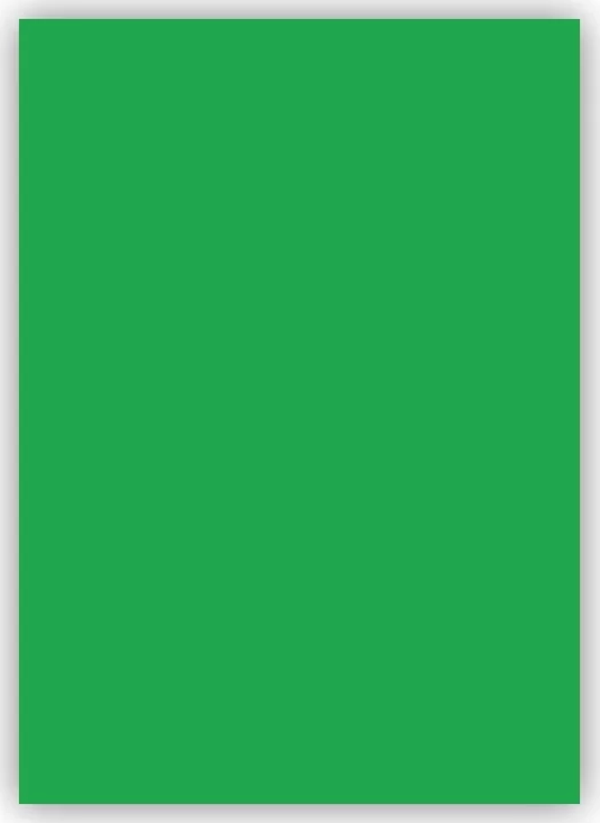 Bigpoint Fon Kartonu 50x70cm 120 Gram Yeşil - Image 1