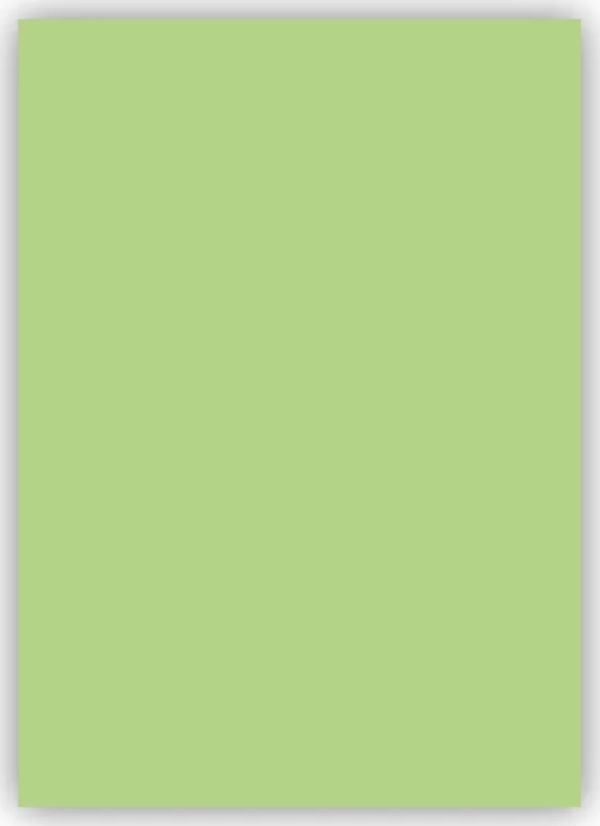Bigpoint Fon Kartonu 50x70cm 160 Gram Uçuk Yeşil - Image 1