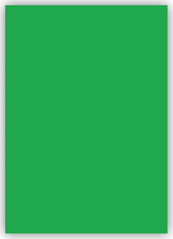 Bigpoint Fon Kartonu 50x70cm 160 Gram Yeşil - Image 1