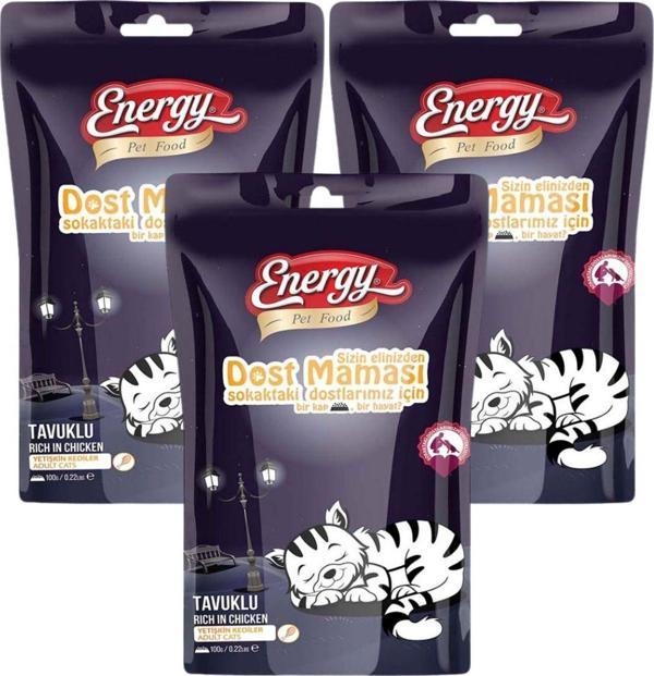 Pet Food Energy Dost Kedi Maması 100 G - 3 Adet - Image 1
