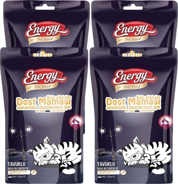 Pet Food Energy Dost Kedi Maması 100 G - 4 Adet - Image 1