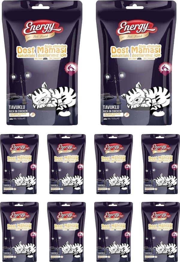Pet Food Energy Dostluk Maması - Kedi 100 G (Kuru Mama) Özel Koli 10 Adet - Image 1