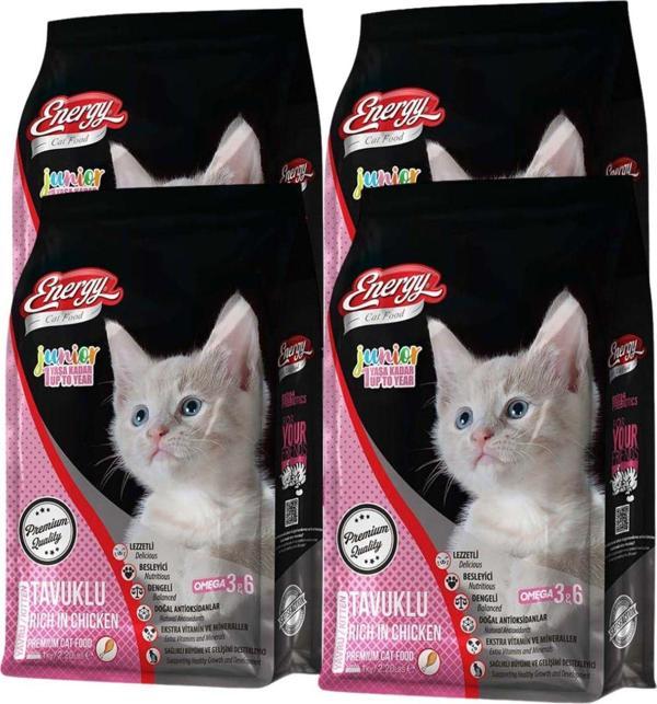 Pet Food Energy Tavuklu Yavru Kedi Maması 1 Kg - 4 Adet - Image 1