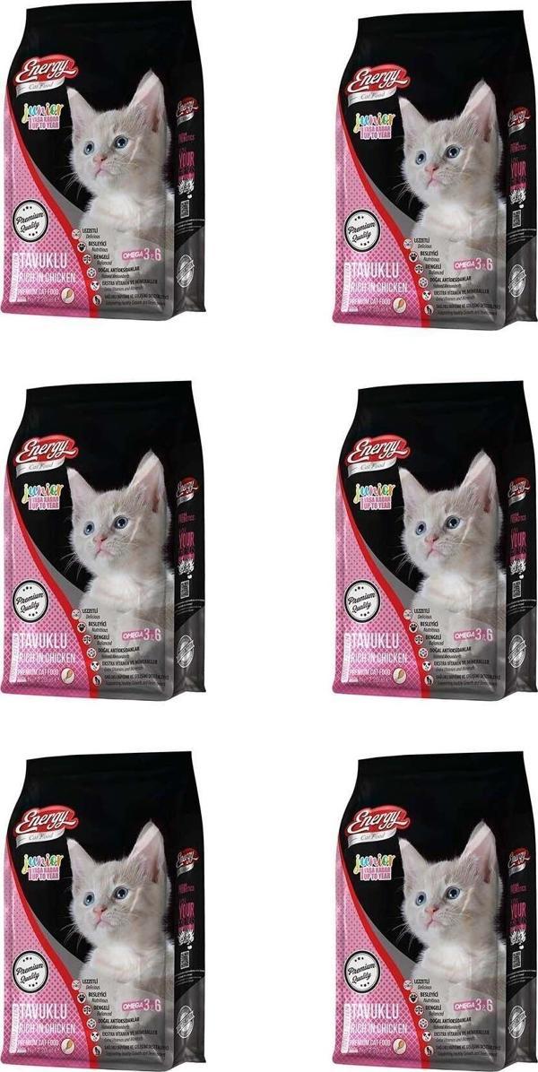 Pet Food Energy Tavuklu Yavru Kedi Maması 1 Kg - 6 Adet - Image 1