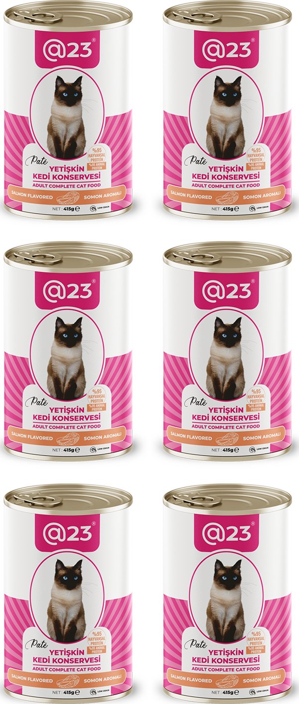 @23 Yetişkin Kedi Konservesi Somon Aromalı 415 g x 6 adet - Image 1