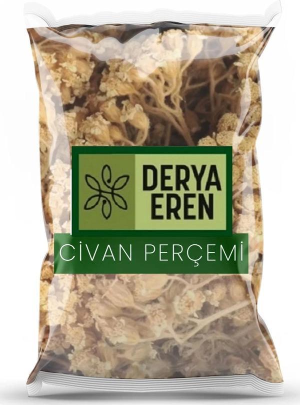 Derya Eren Civan Perçemi (Achillea millefolium)1 kg - Image 1
