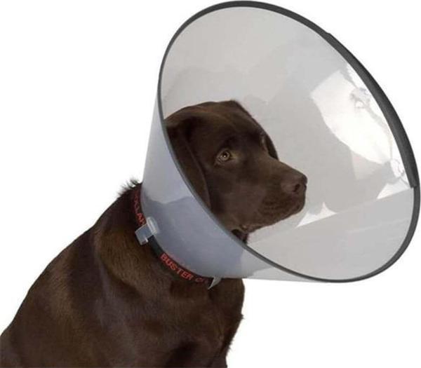 Dermo-Vet Köpek Elizabet Yakalığı 12.5 Cm - Image 1