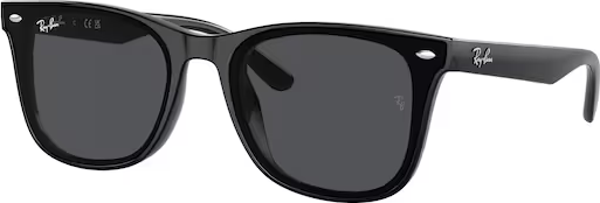 Ray-Ban 0RB4420 601/87 65*18*145 Erkek Güneş Gözlüğü - Image 1