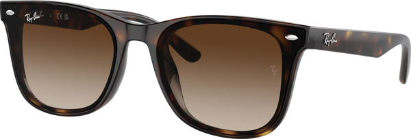 Ray-Ban 0RB4420 710/13 65*18*145 Erkek Güneş Gözlüğü - Image 1