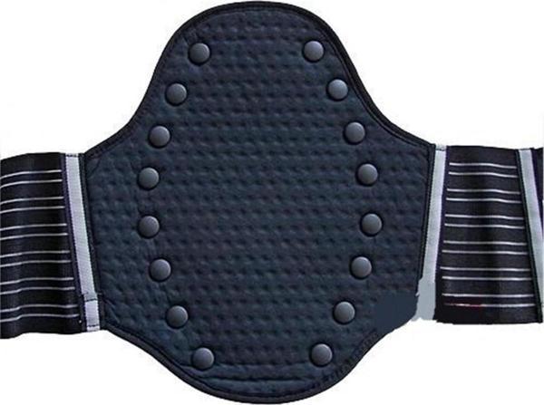 Zandona 1006 Bellik SMALL - Image 1