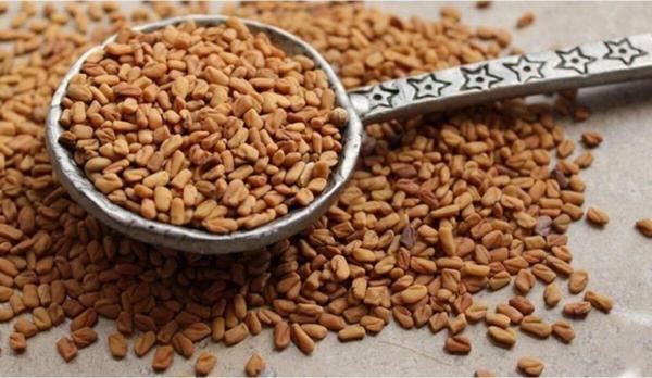 Hüdaverdi Arıcılık Çemen Otu Tohumu Kaliteli 1 Kg - Image 1