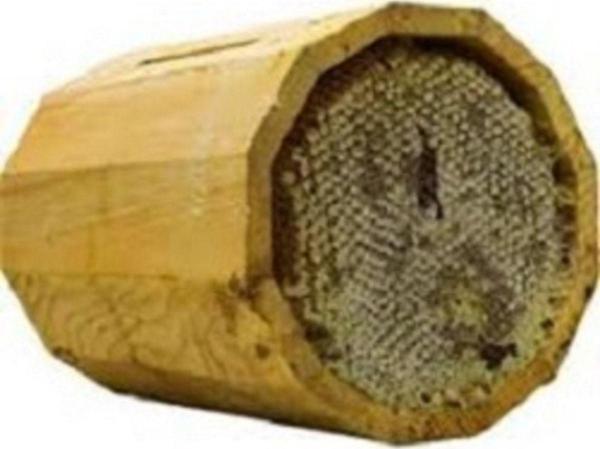 Hüdaverdi Arıcılık Kütük Ballık 2'Li - Image 1