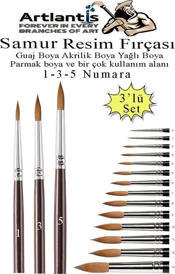 Resim Fırçası 1 - 3 - 5 Numara 1 Paket 3 lü Samur Yuvarlak Uçlu Fırça Seti Guaj Sulu Akrilik Yağlı Boya Fırçaları - Image 1