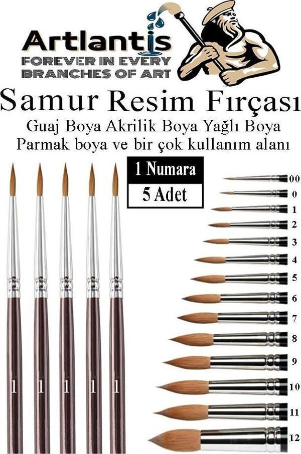 Resim Fırçası 1 Numara 5 li 1 Paket Samur Yuvarlak Uçlu Fırça Seti Guaj Sulu Akrilik Yağlı Boya Fırçaları - Image 1