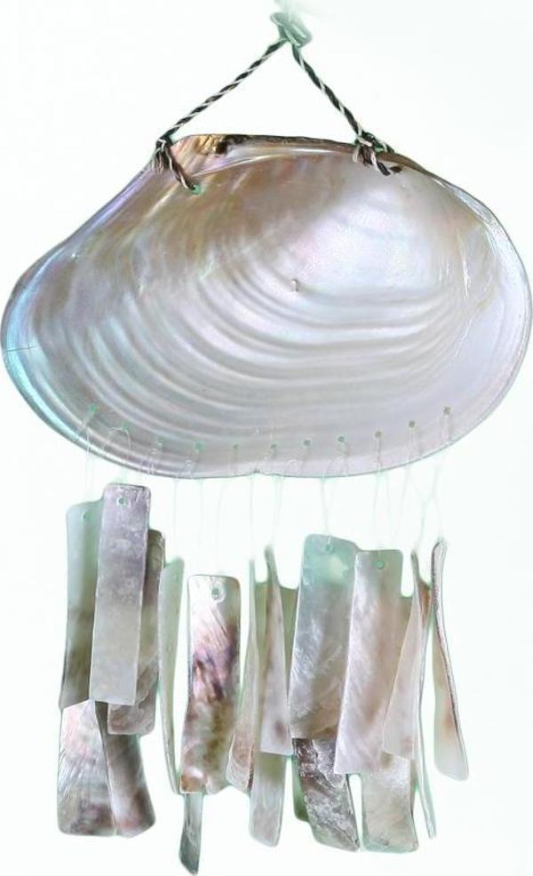 Kabıbı Duvar Dekoru-Placuna - Image 1
