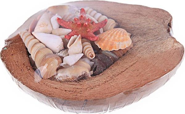 Coco Kabuk Sepeti 18-20 cm Arası - Image 1