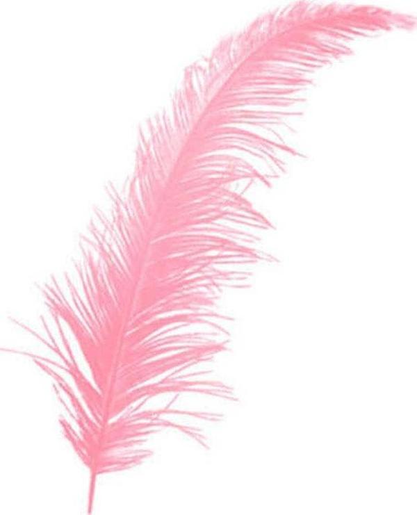 Renkli Tüy (100 Adet)  Pembe - Image 1