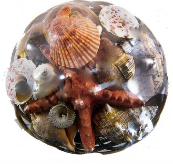 Sepet İçi Kabuk 18 CM - Image 1