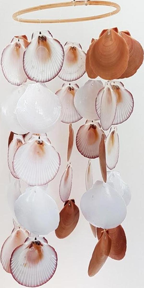 Yuvarlak Sarkaç-Moon Scallop Kabuklu - Image 1
