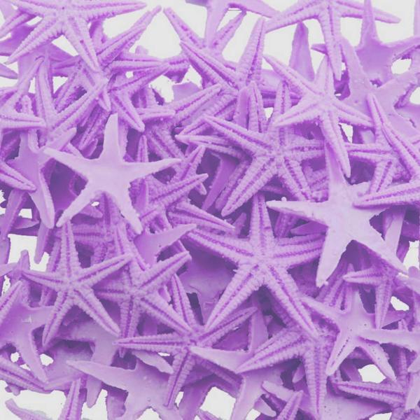 Polyester Deniz Yıldızı Minik Boy  0.5 CM- 1.5 CM (100 Adet)  Mor - Image 1