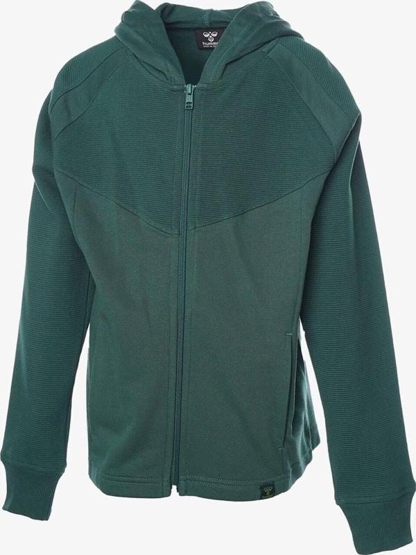 Hummel Hmleluf Zıp Hoodıe Fermuarlı Hoodıe çocuk çeket - Image 1
