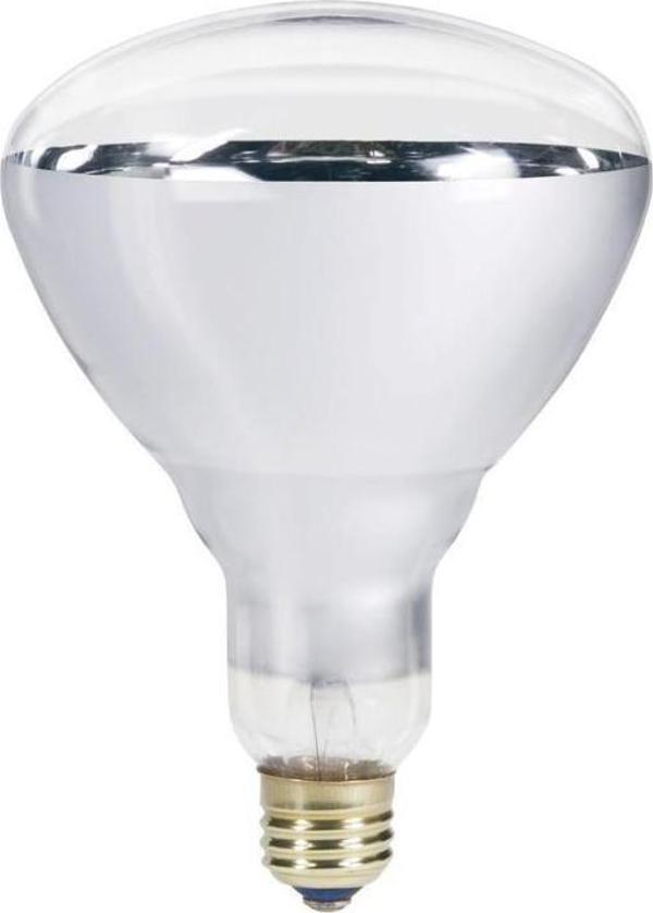 Ledvance 250W Infrared Şeffaf Ampul E27 - Image 1