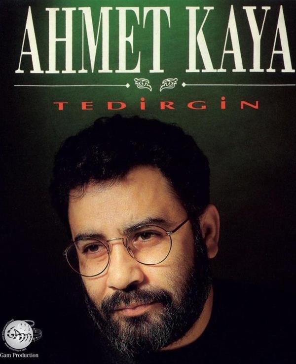 Ahmet Kaya - Tedirgin  (Plak)   - Image 1