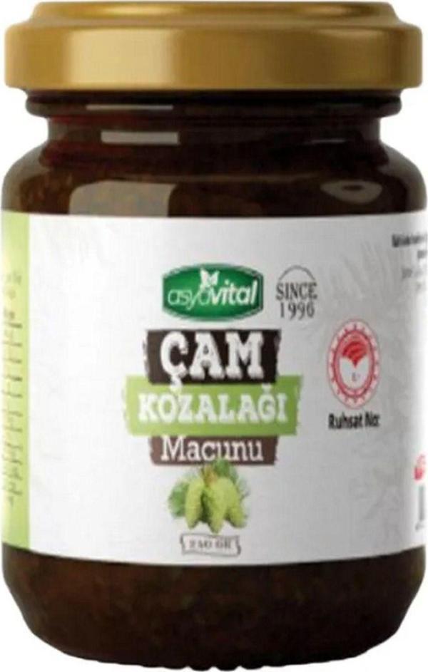 asyavital Çam Kozalağı Macunu 240 Gr - Image 1