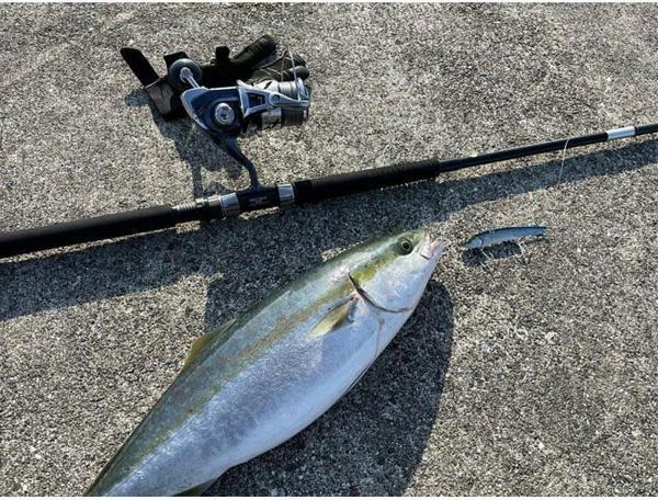 Apia Grandage Atlas Blue Runner 93HH+/JS 2.82m Plug 100gr - Jig 120gr Shore Jig Kamış - Image 1